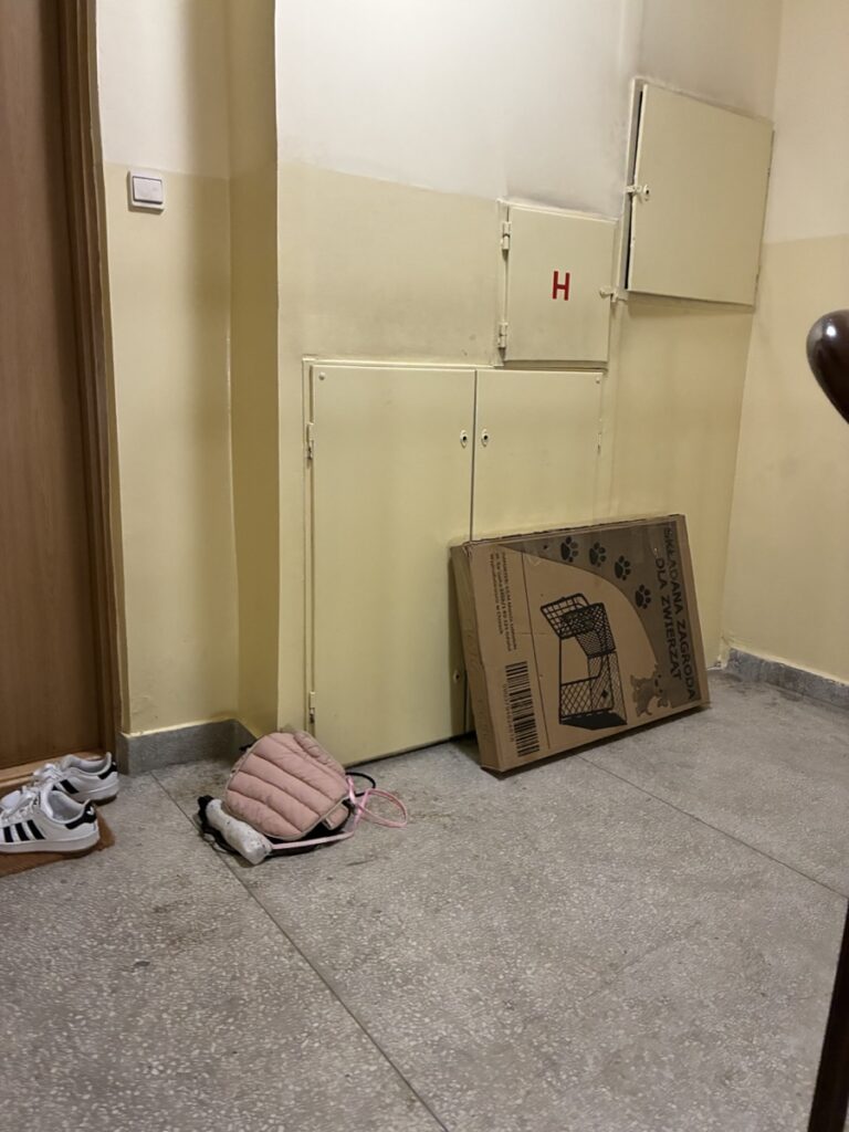 Read more about the article Sprzątanie części wspólnych